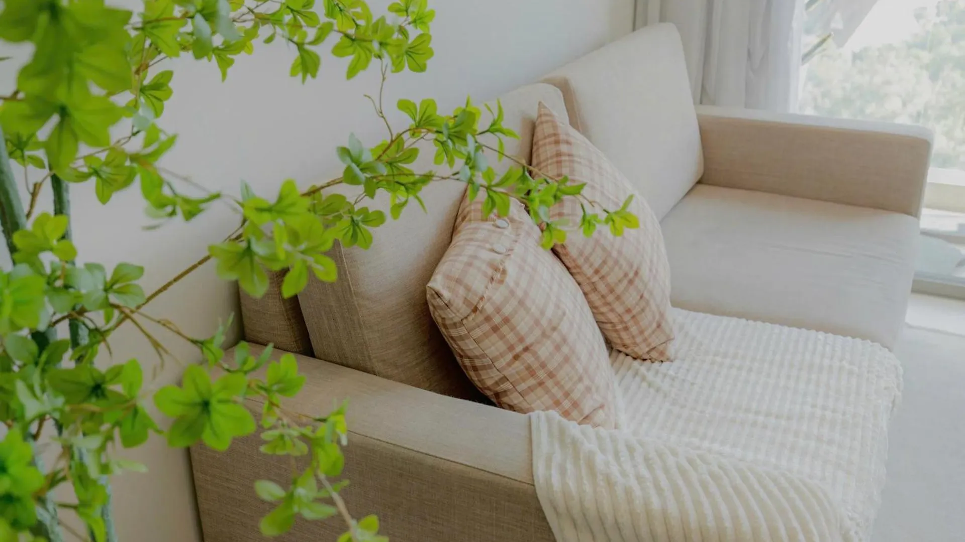 The Song Apartment 5 Stars Rex House Vung Tau